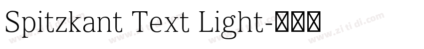Spitzkant Text Light字体转换